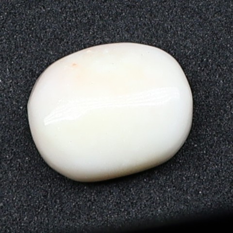 Natural White Coral