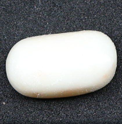 Natural White Coral
