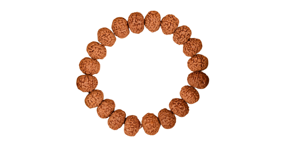 8 Mukhi Rudraksha Bracelet