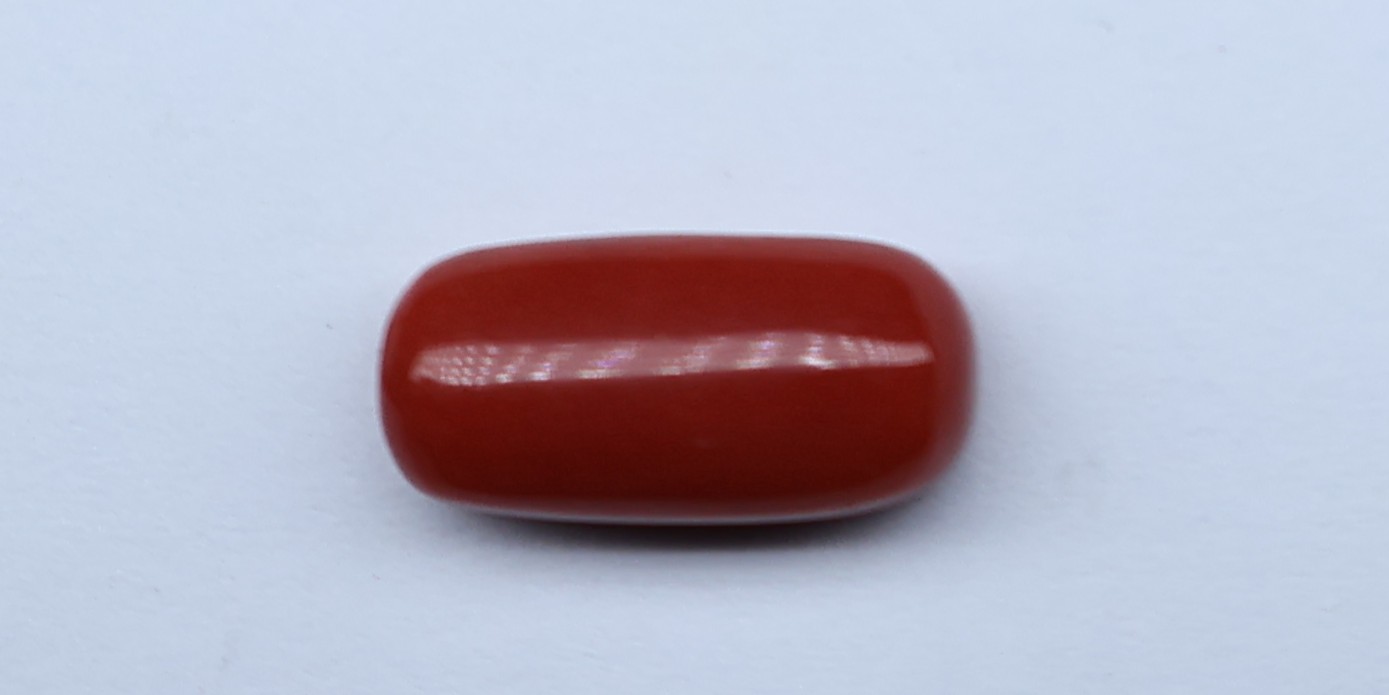 Natural Red Coral