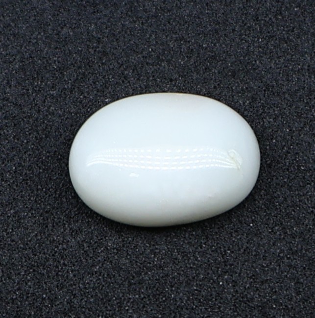 Natural White Coral