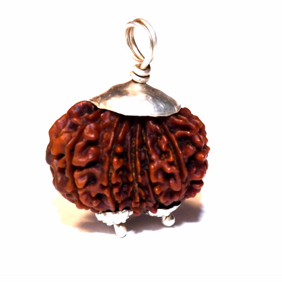 Natural Gauri Shankar Ganesh Rudraksha