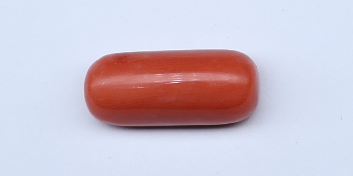 Natural Red Coral