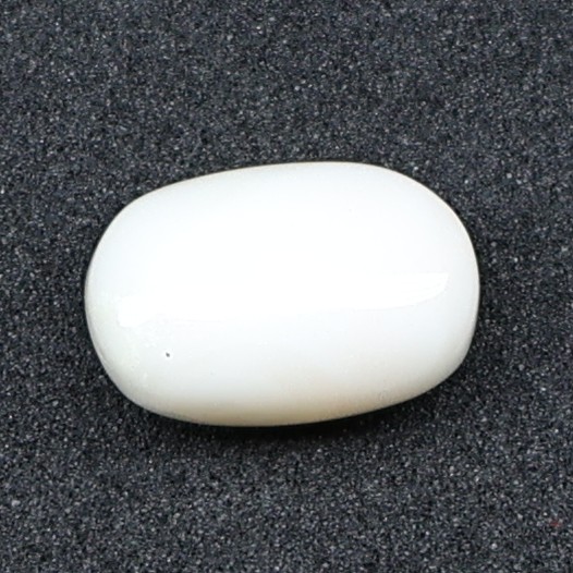 Natural White Coral