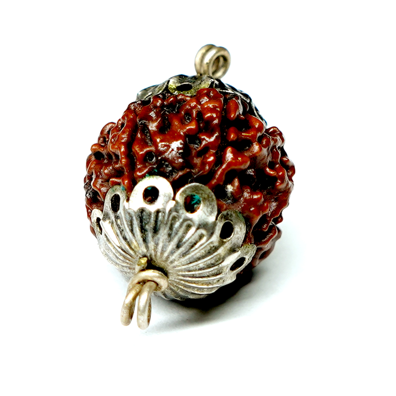 Natural 6 Mukhi/Faced Rudraksha with Silver Capping