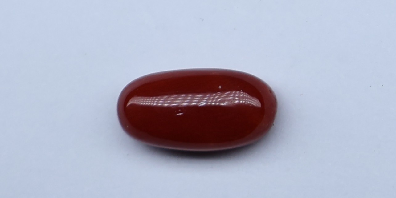 Natural Red Coral