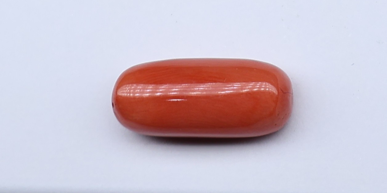 Natural Red Coral
