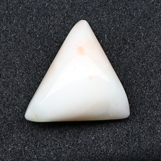 Natural White Coral