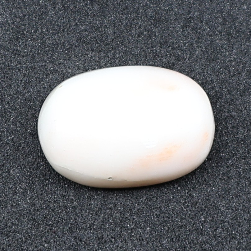 Natural White Coral