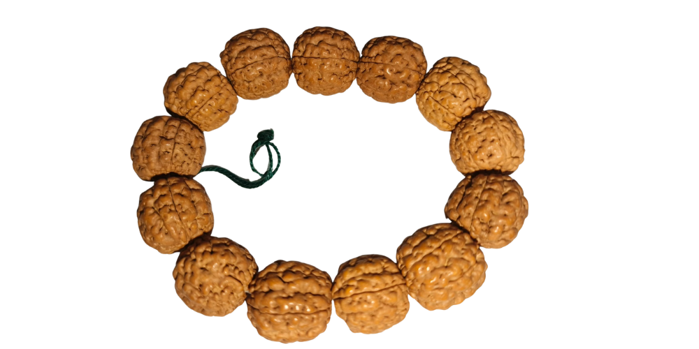 6 Mukhi Rudraksha Bracelet