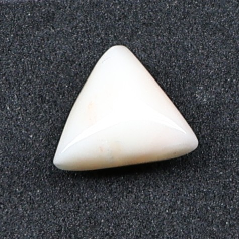 Natural White Coral
