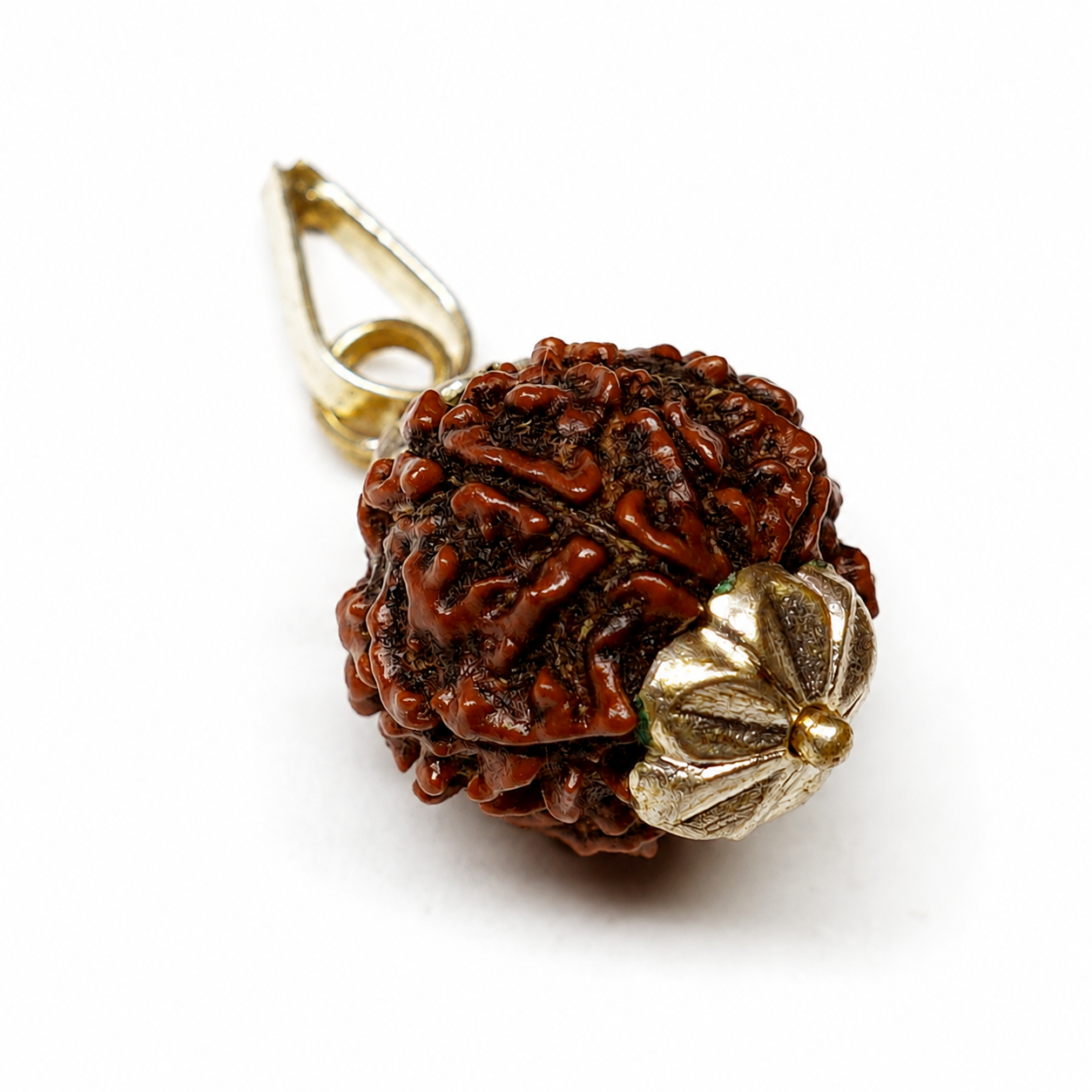 Natural 7 Mukhi/Faced Rudraksha with Silver Capping