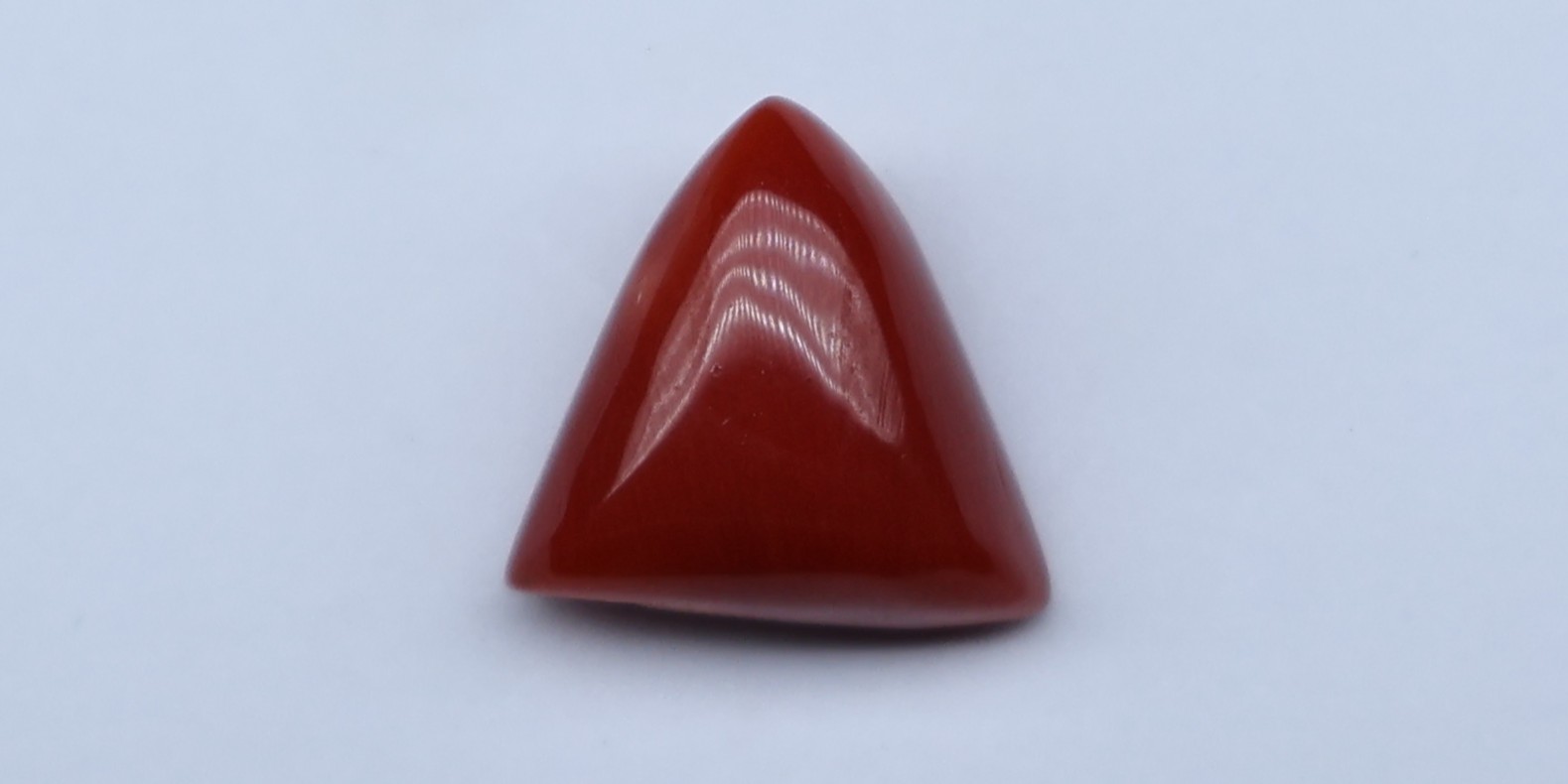 Natural Red Coral