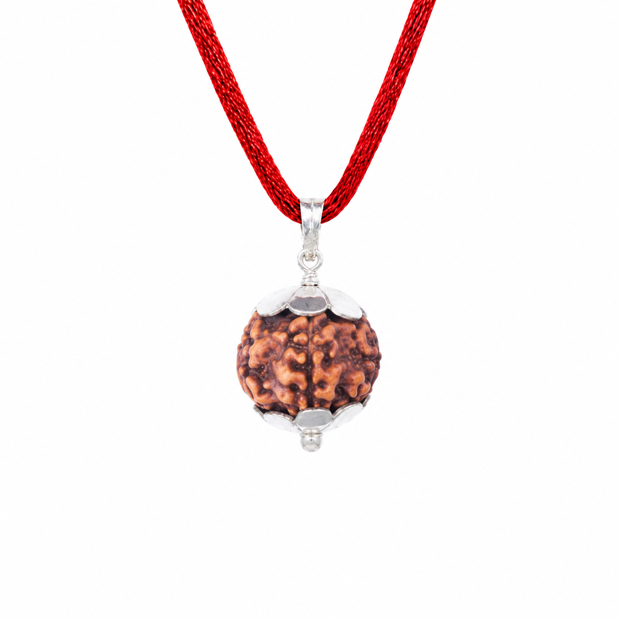 6 Mukhi Rudraksha Pendant
