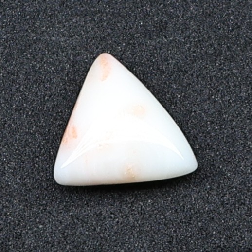 Natural White Coral