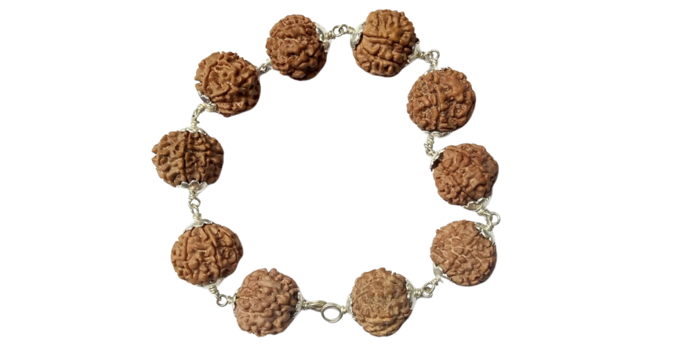 7 Mukhi Rudraksha Bracelet