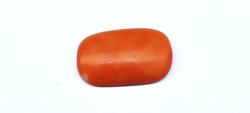 Natural Red Coral