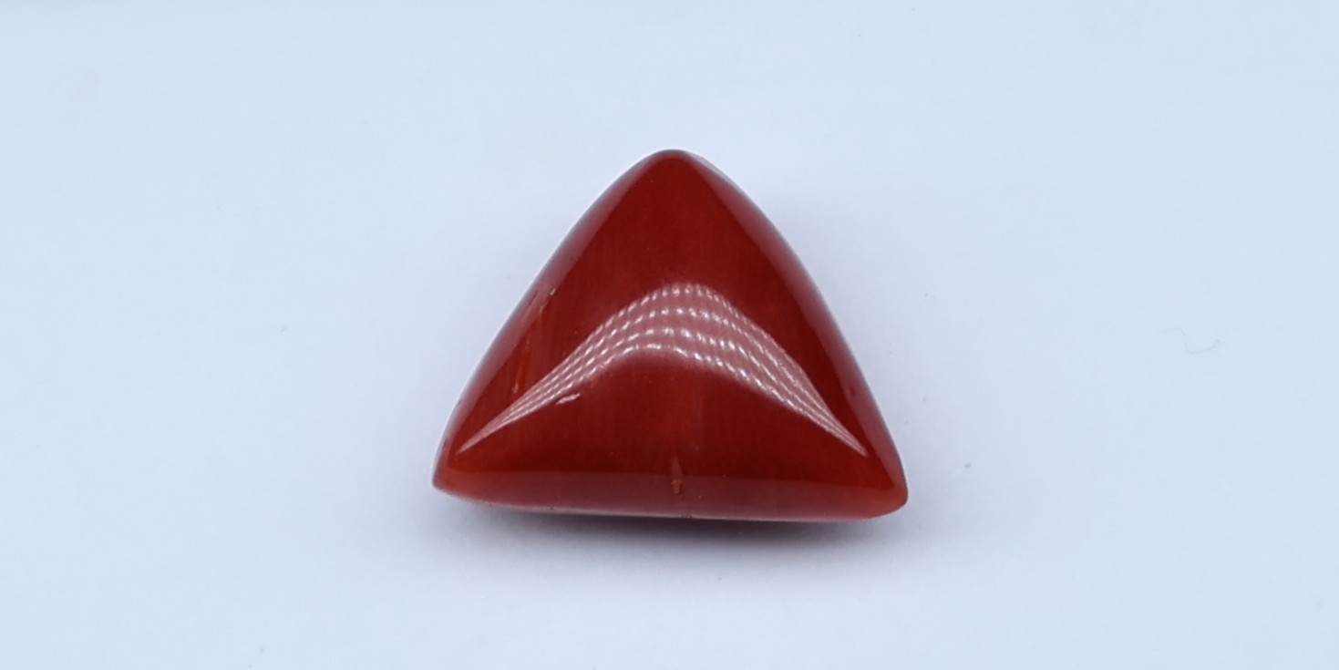 Natural Red Coral