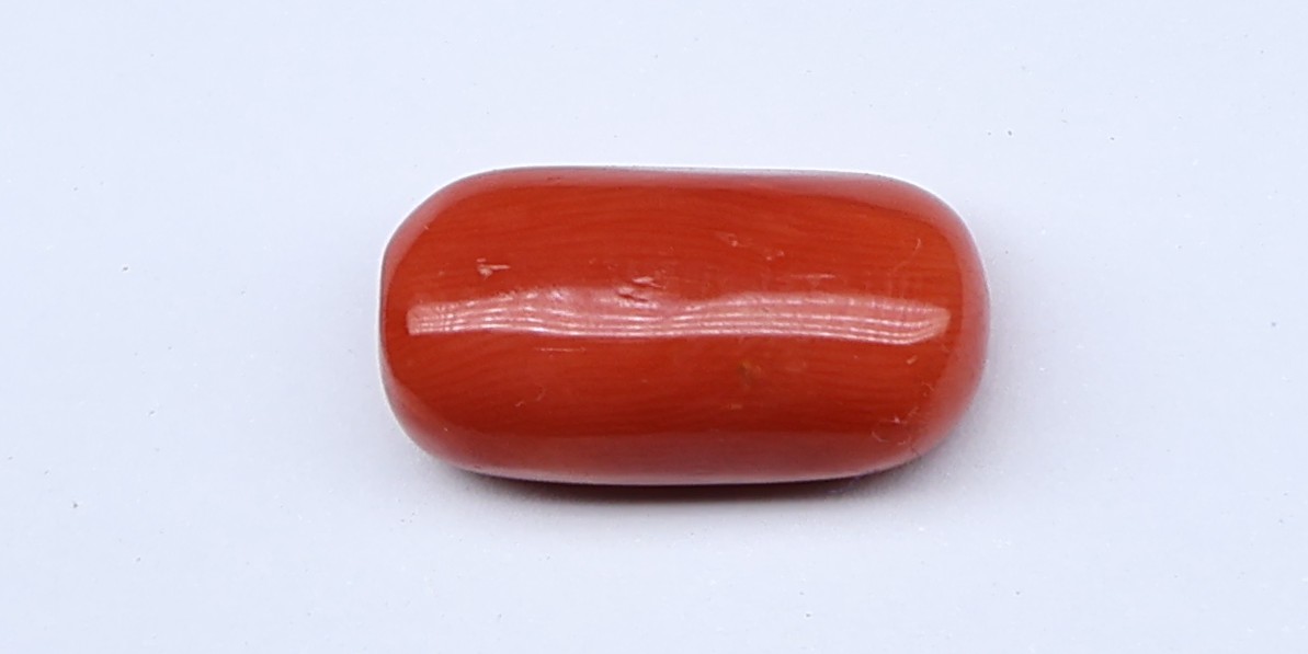 Natural Red Coral
