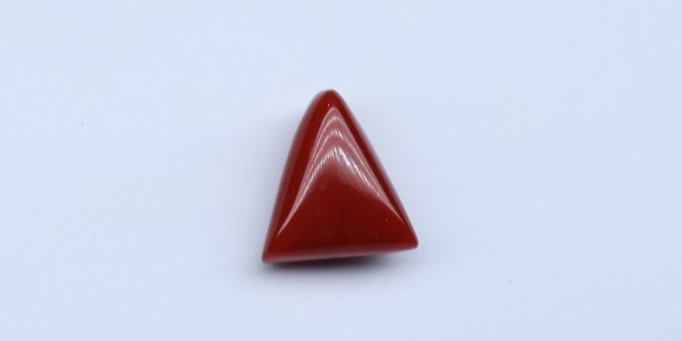 Natural Red Coral