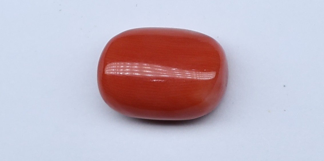 Natural Red Coral