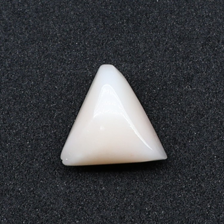 Natural White Coral