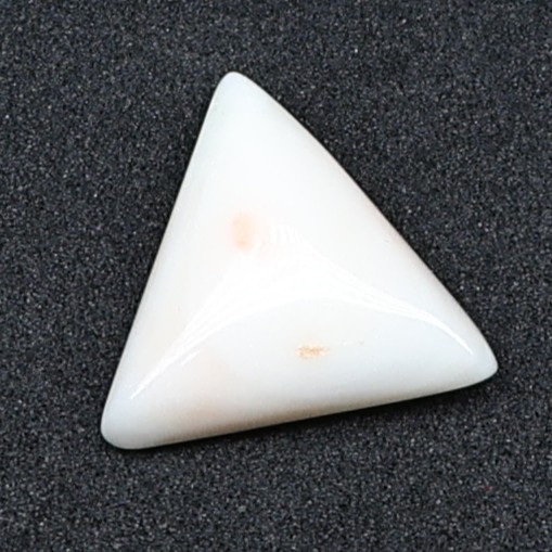 Natural White Coral