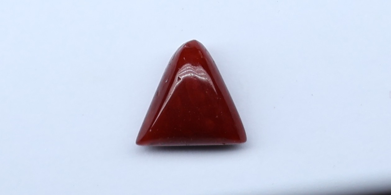 Natural Red Coral