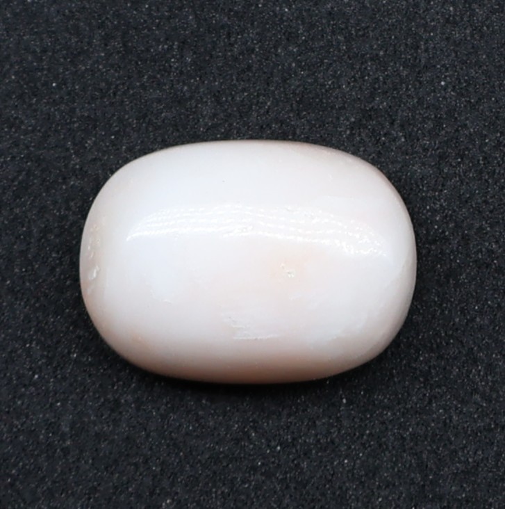 Natural White Coral