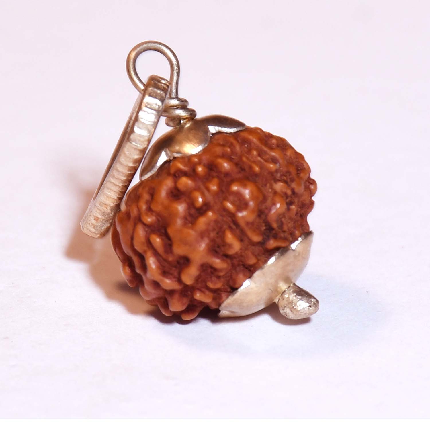 Natural 8 Mukhi/Faced Silver Capping Rudraksha