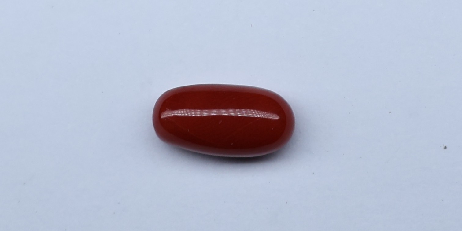 Natural Red Coral