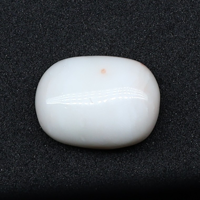 Natural White Coral