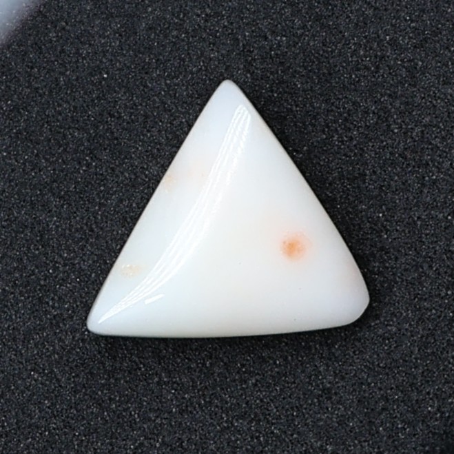Natural White Coral