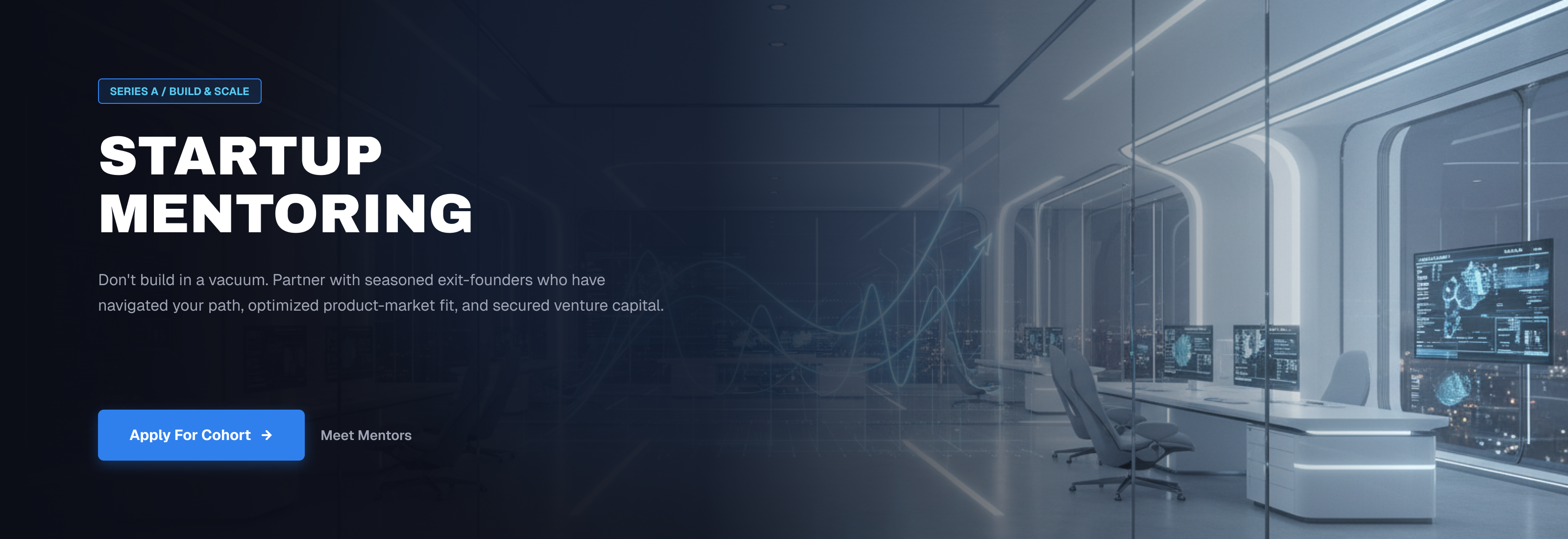 Startup Mentoring